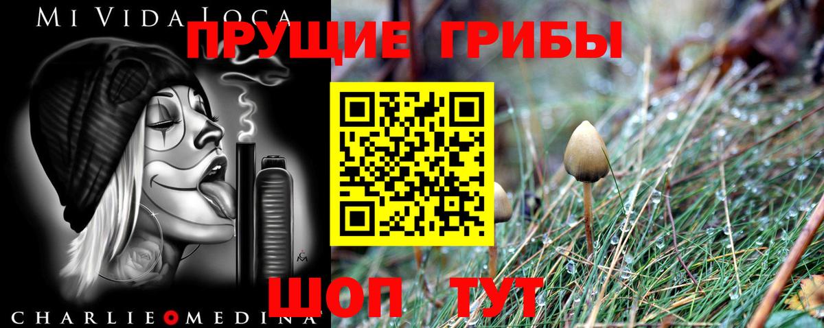 Галлюциногенные грибы Cubensis  Вход с VPN  купить наркотики сайты  Галлюциногенные грибы прущие грибы  Чебаркуль 