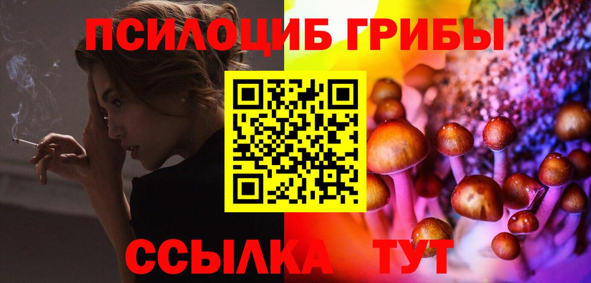 Псилоцибиновые грибы MAGIC MUSHROOMS Чебаркуль